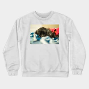 It's so cozy Crewneck Sweatshirt